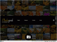 Loy image grid screenshot